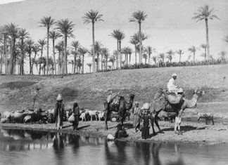 Viaggio in Oriente a Casa Martelli 1398 0 Viaggio in Oriente. Fotografie dall’Africa a Casa Martelli